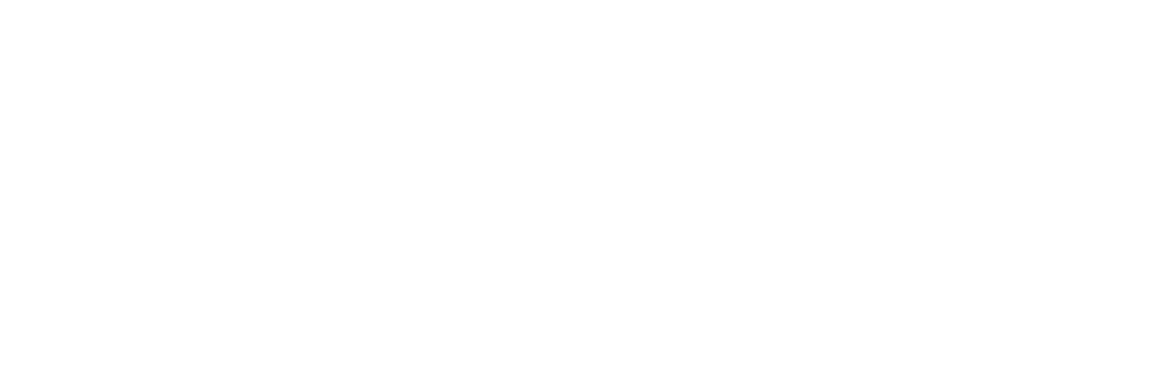 华润白logo.png